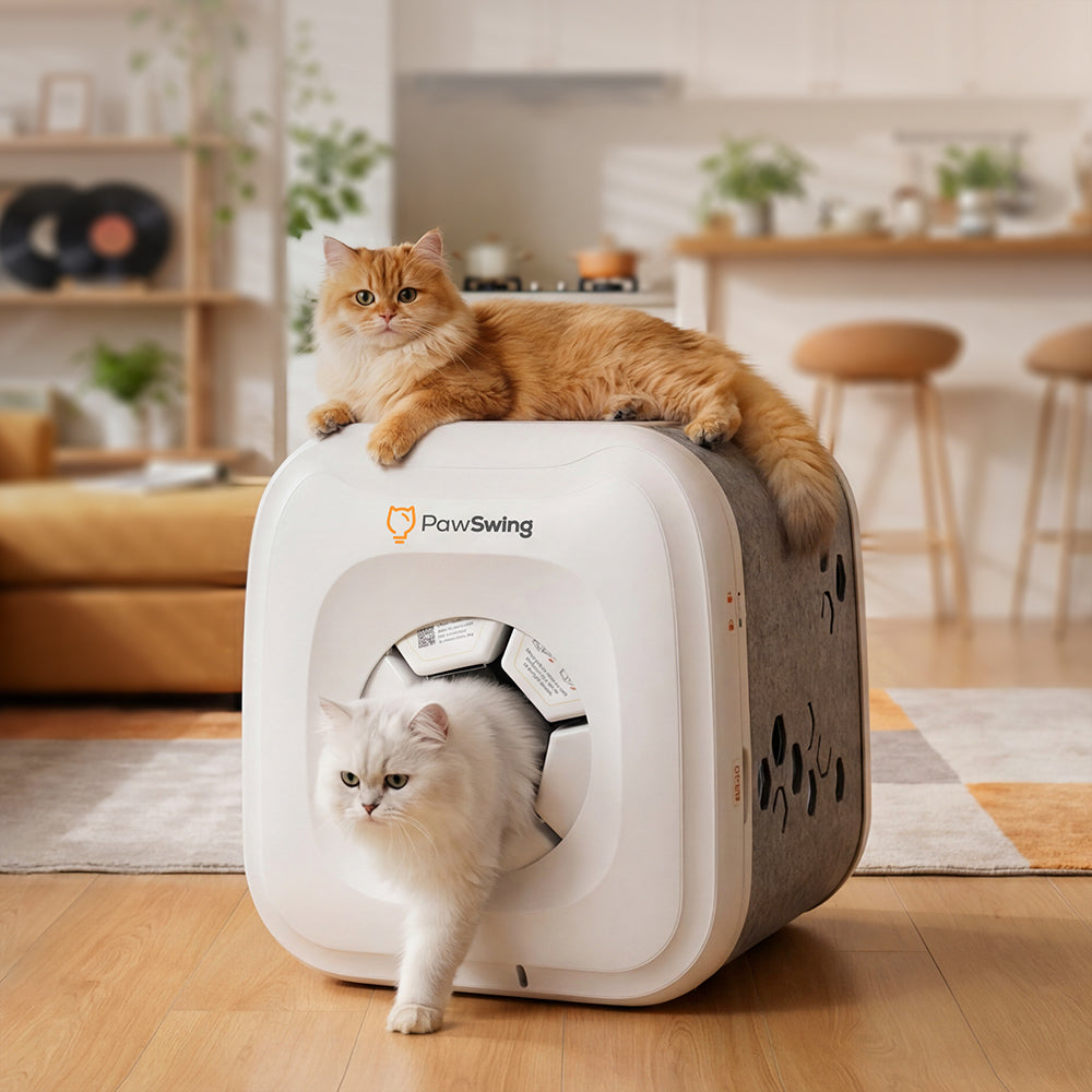Två katter vid PawSwing Neo i ett kök, en ligger på taket och en går ut genom öppningen