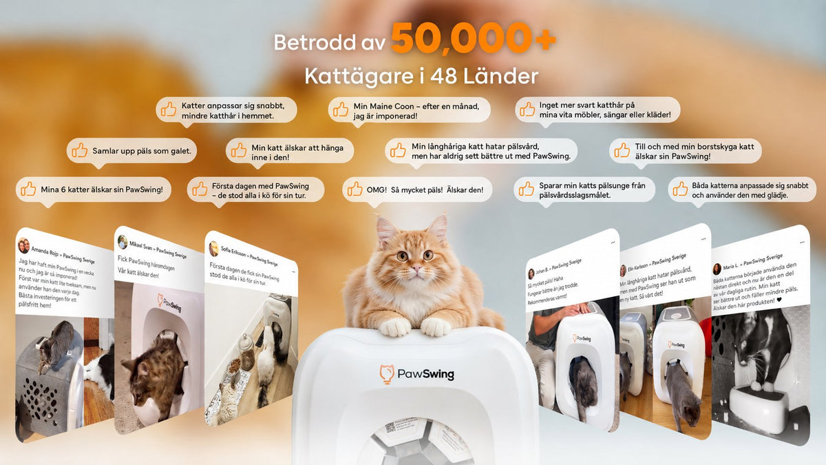Kundomdömen om PawSwing från kattägare i 48 länder